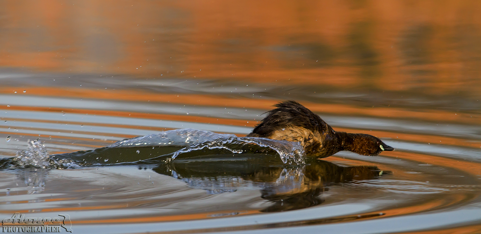Motore a idro-reazione