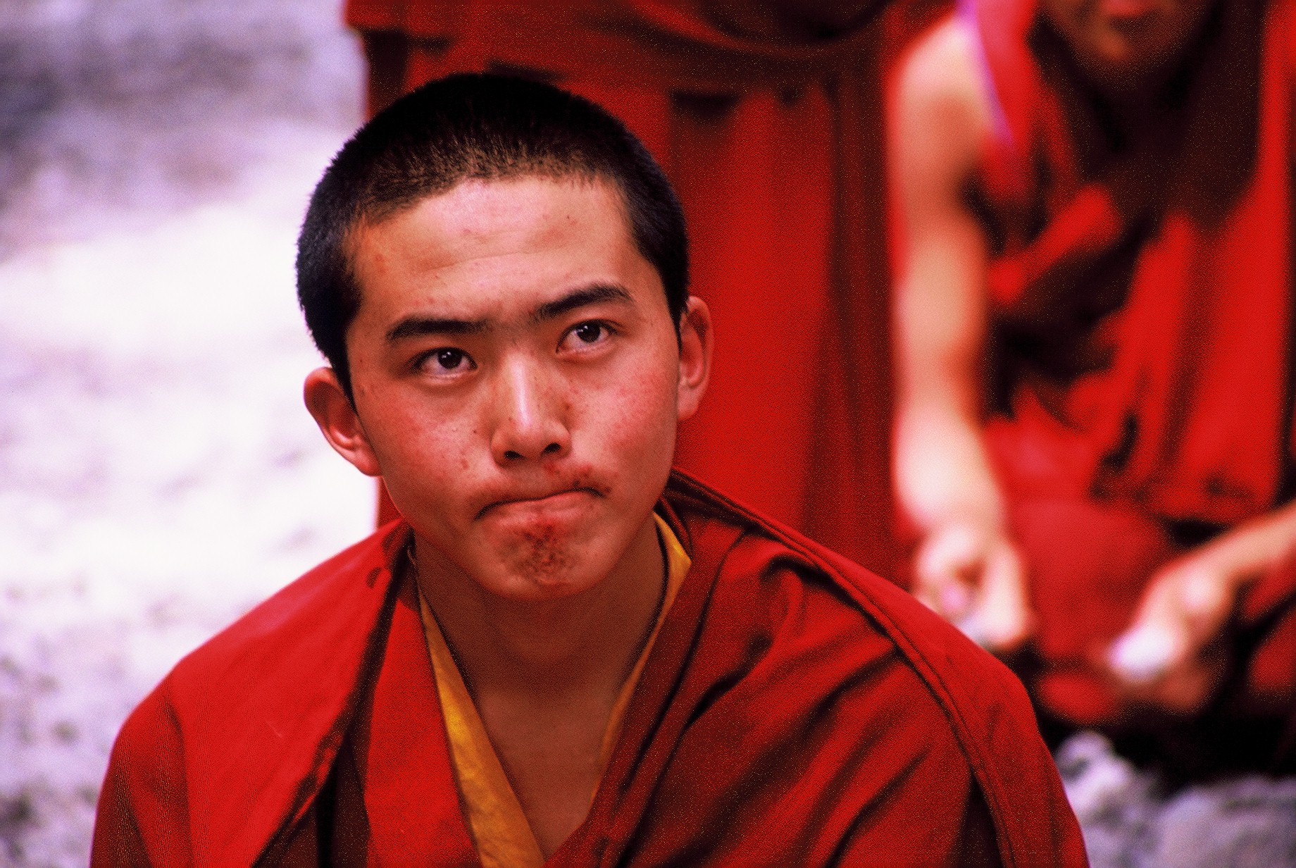 Lhasa (Tibet young monaco)