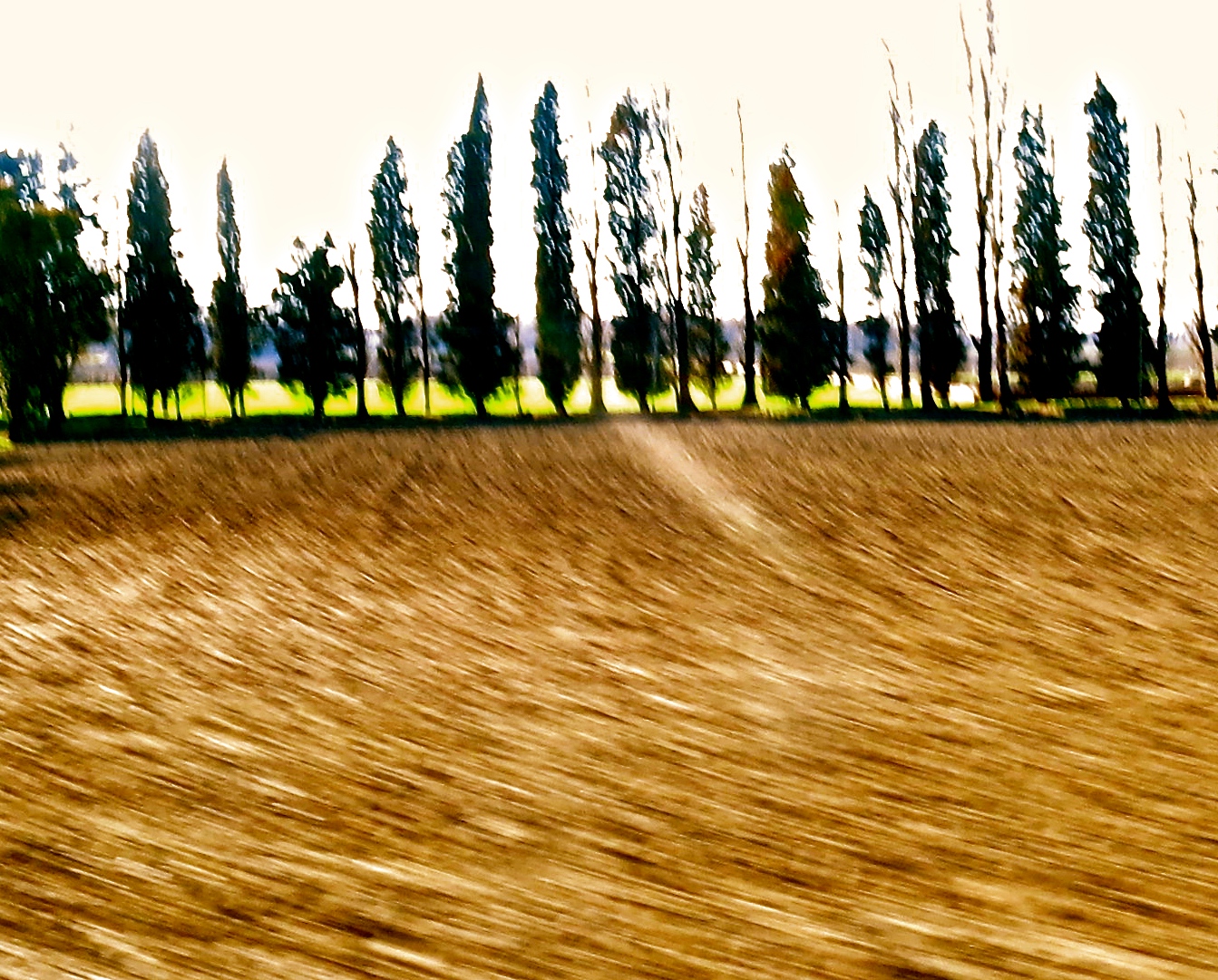 correndo sulla strada verso Caorle