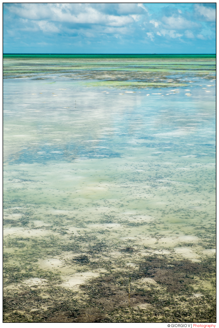 Cayo Guillermo (Cuba)