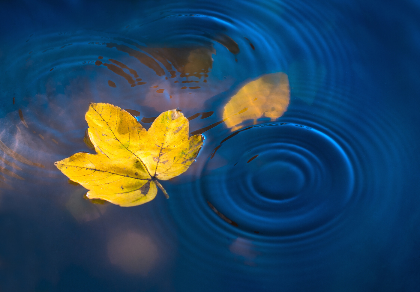 Un ultimo respiro.......