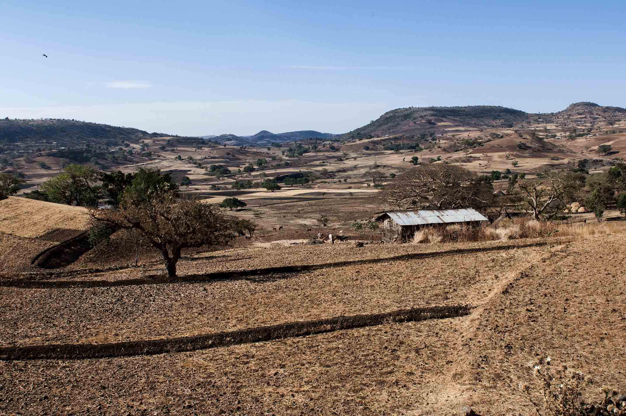 Ethiopia - Road Kunzila - Dengi