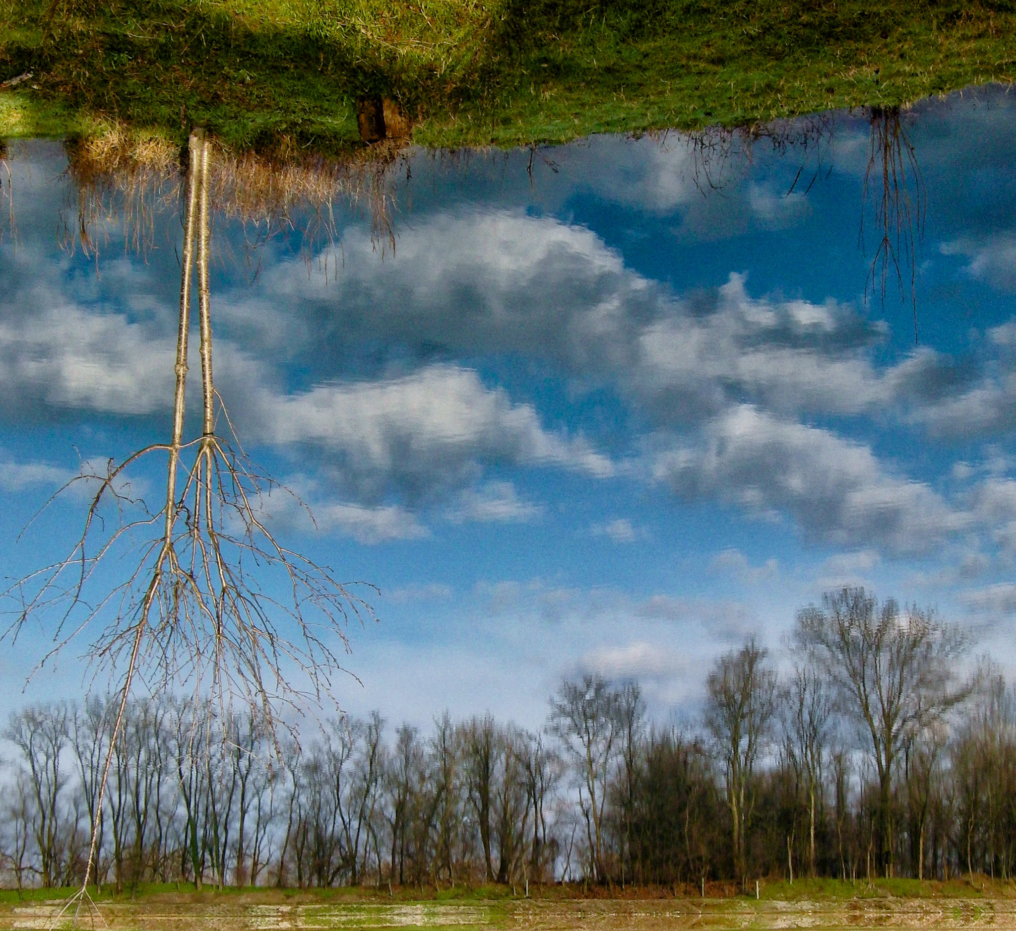 Riflessione  inversa