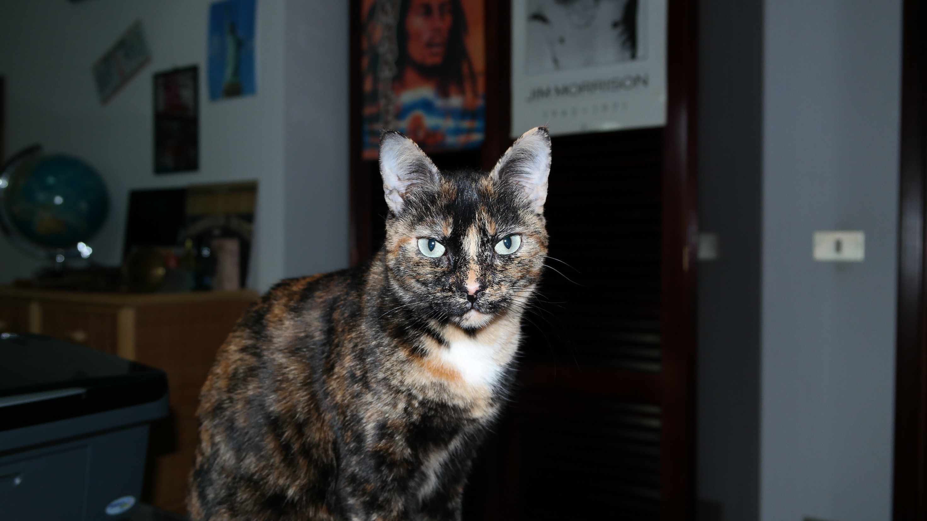 Lela, 1 anno e 10 mesi