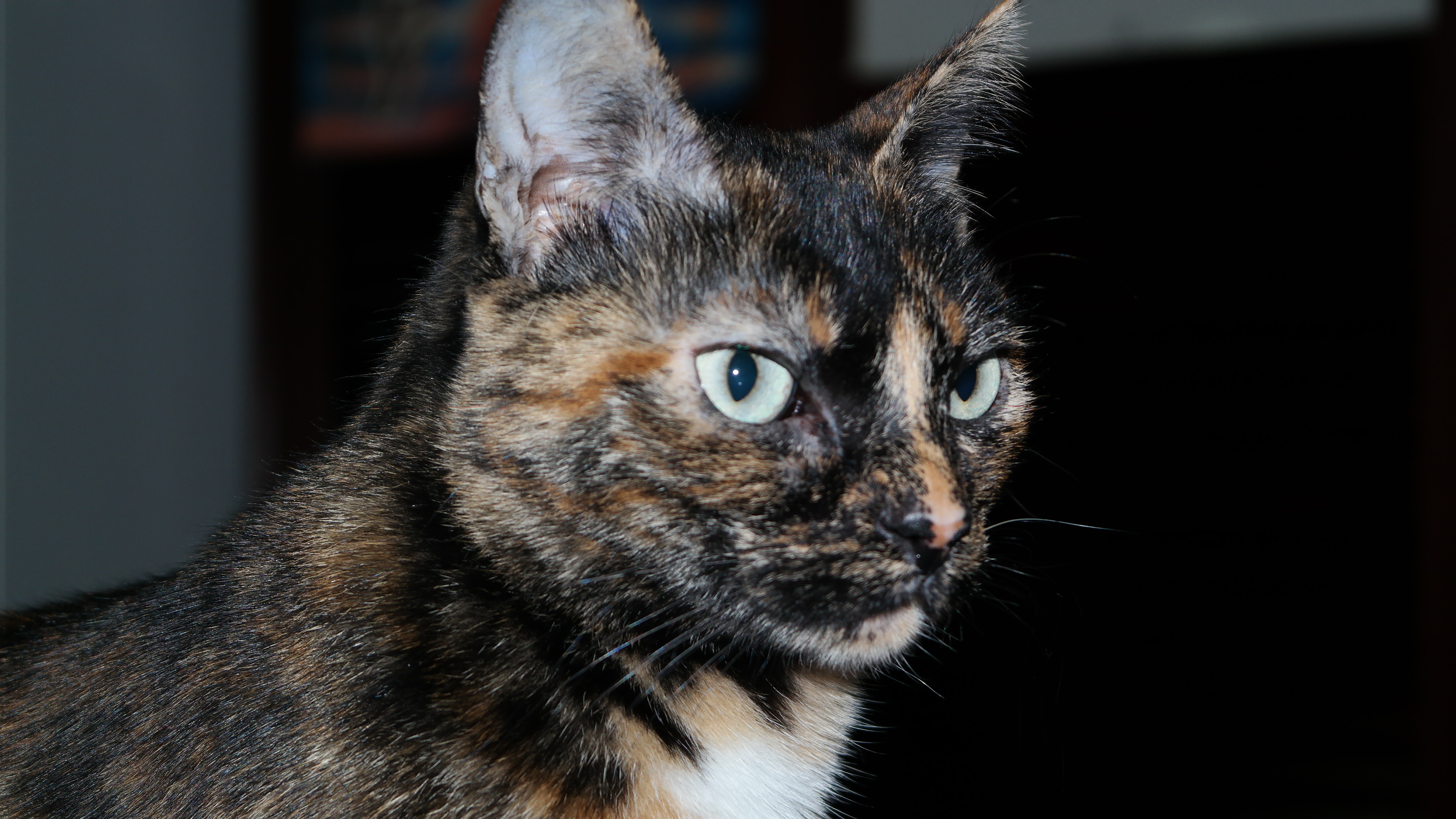 Lela, 1 anno e 10 mesi