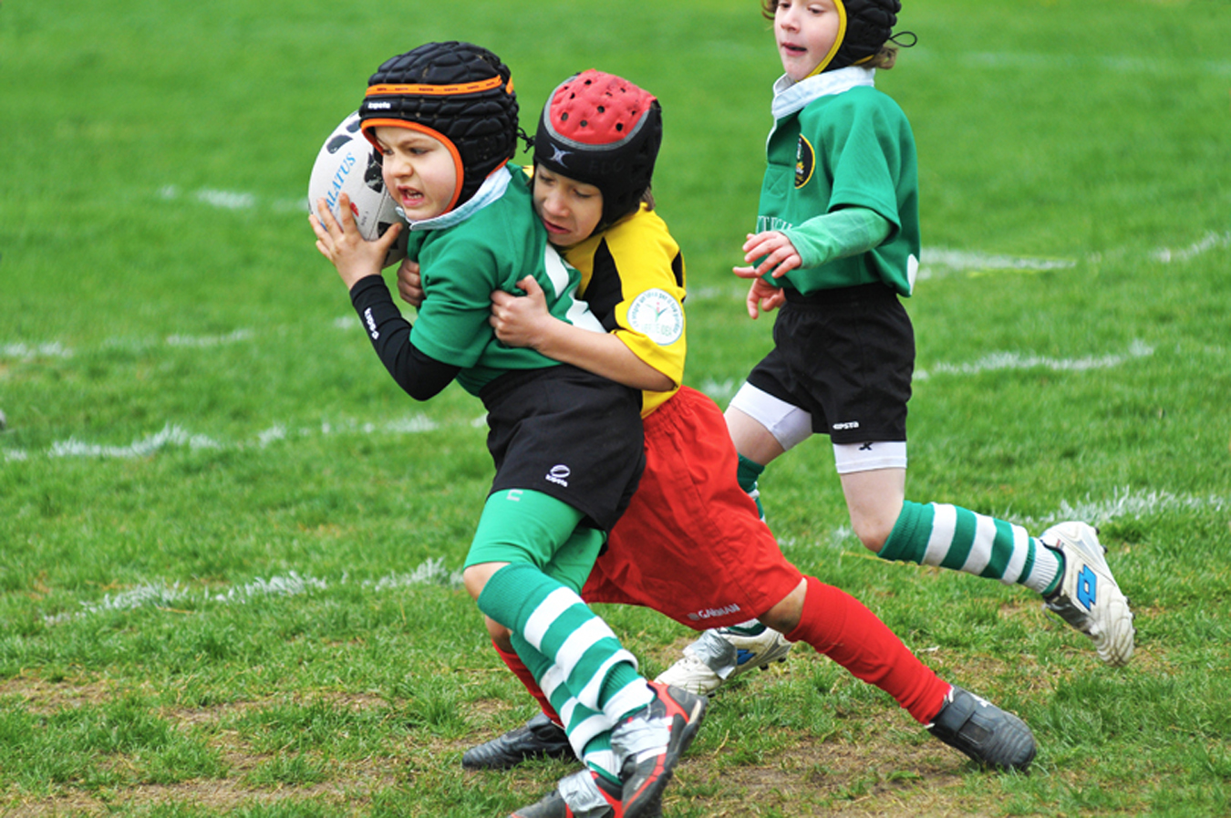 junior rugby
