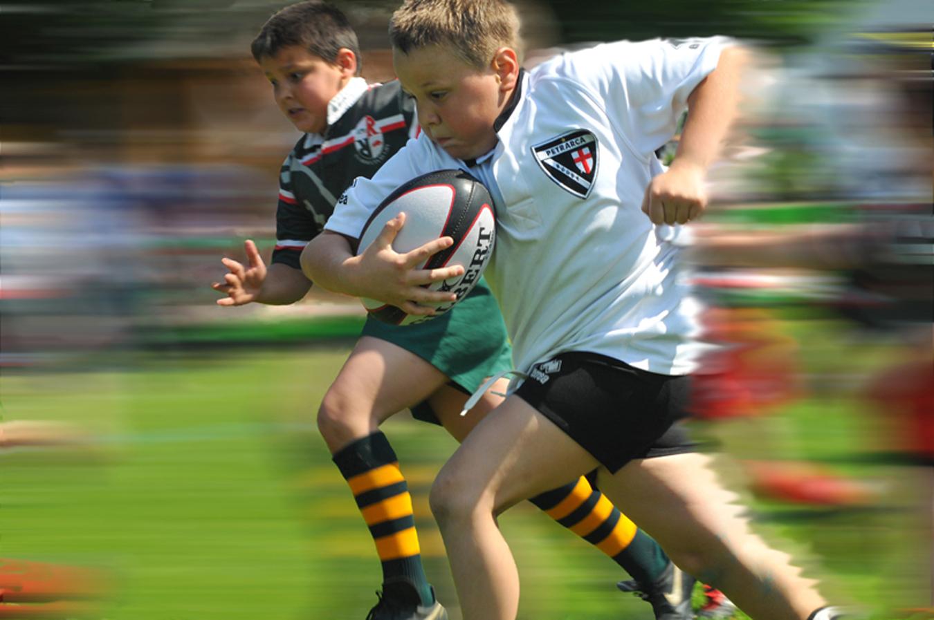 junior rugby