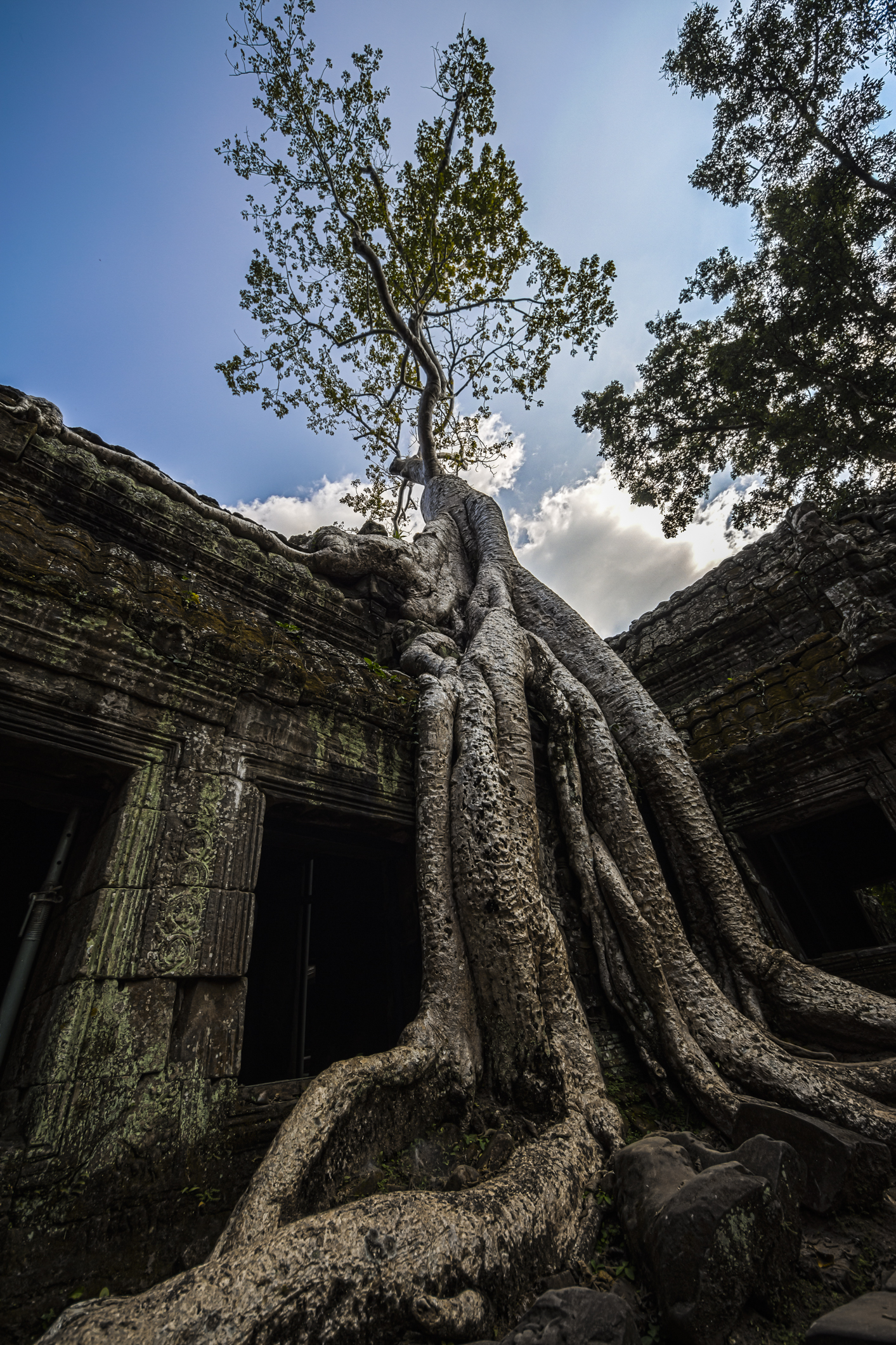 Ta Prohm