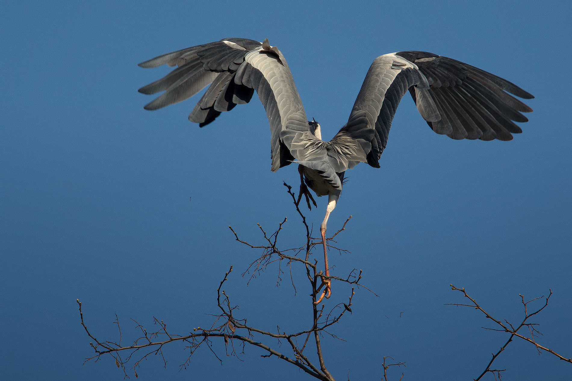 Precarious balance ...