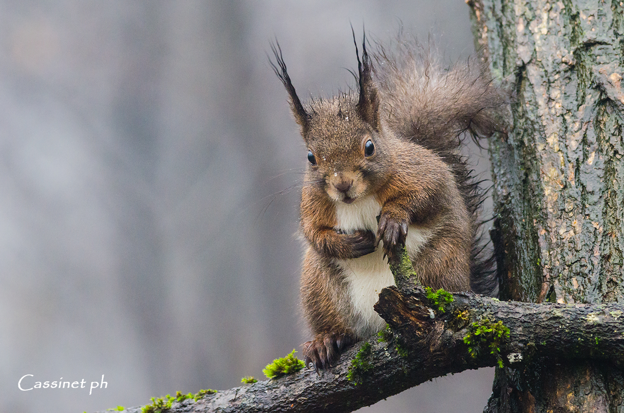 Run here, run there, and now I'm out of breath.