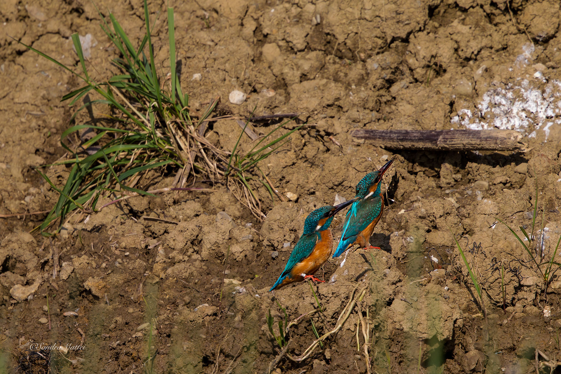 Him ... ..... and ..... she ......