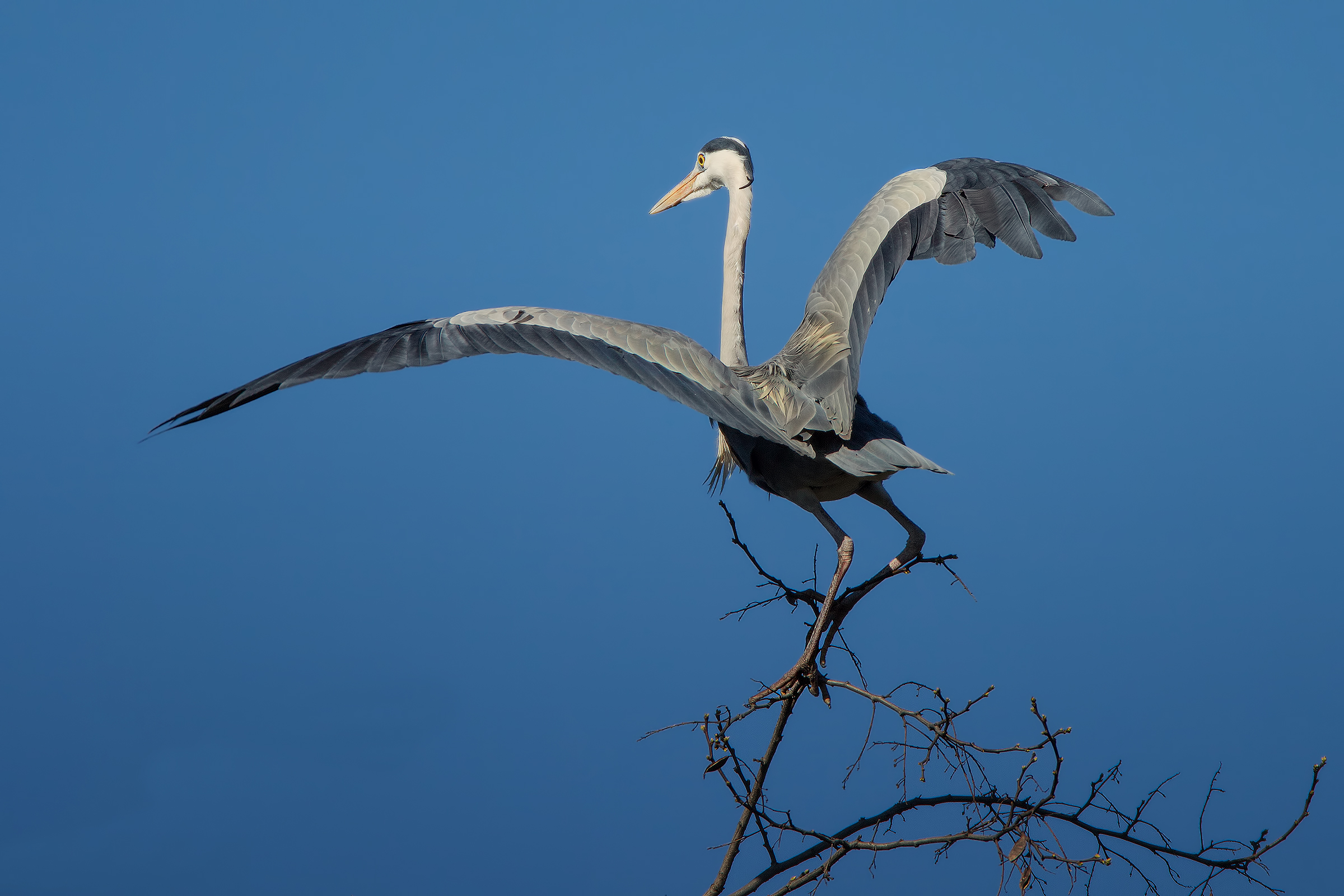 Precarious balance ... # 2