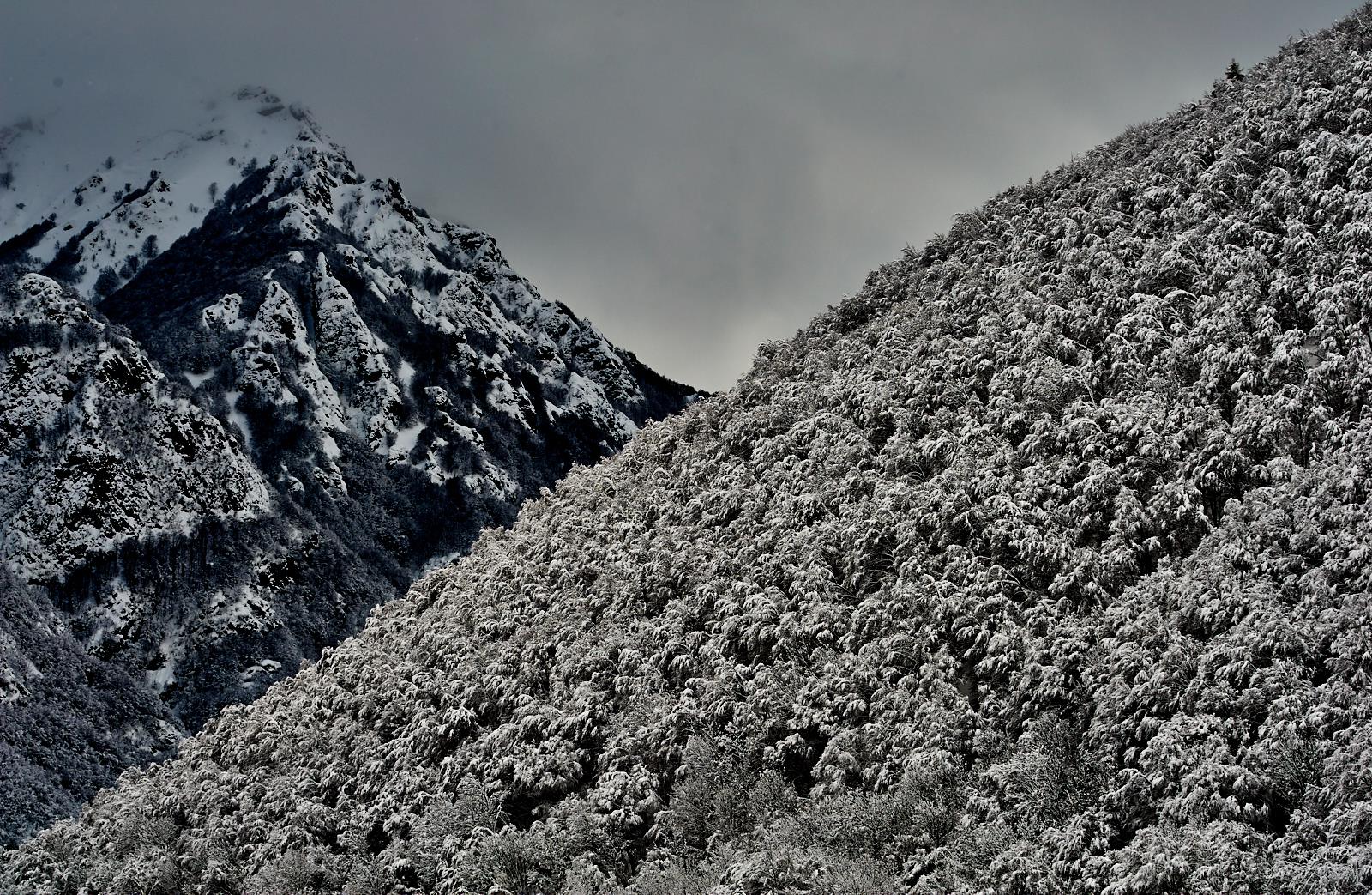 Parco Naturale Alpi Marittime