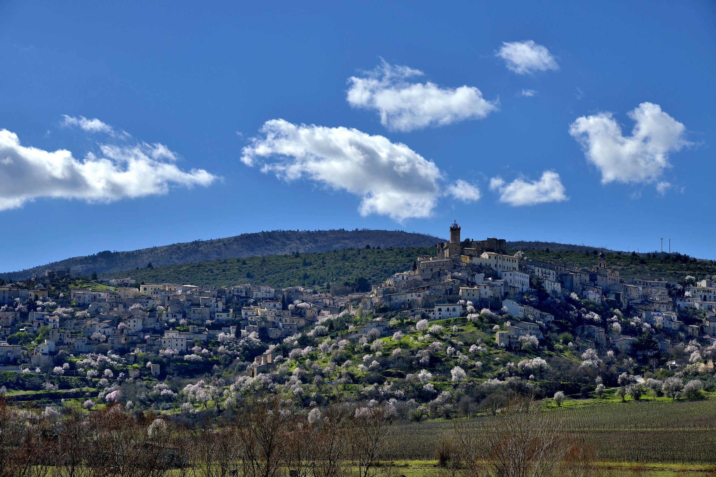 Paese e mandorli fioriti