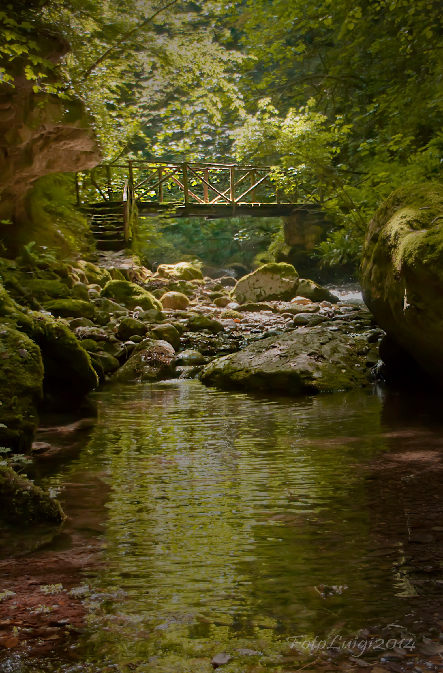 C'era una volta nel Regno...