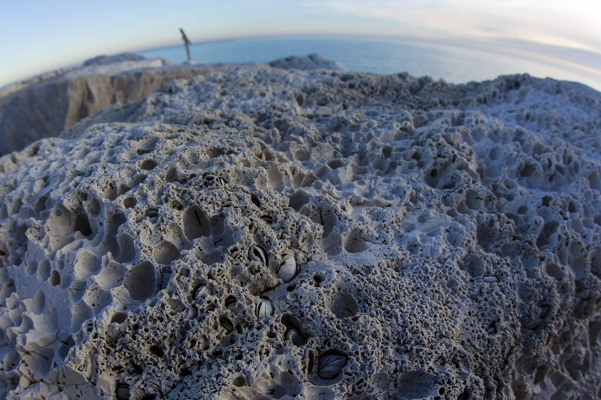 Imprisoned in the rock