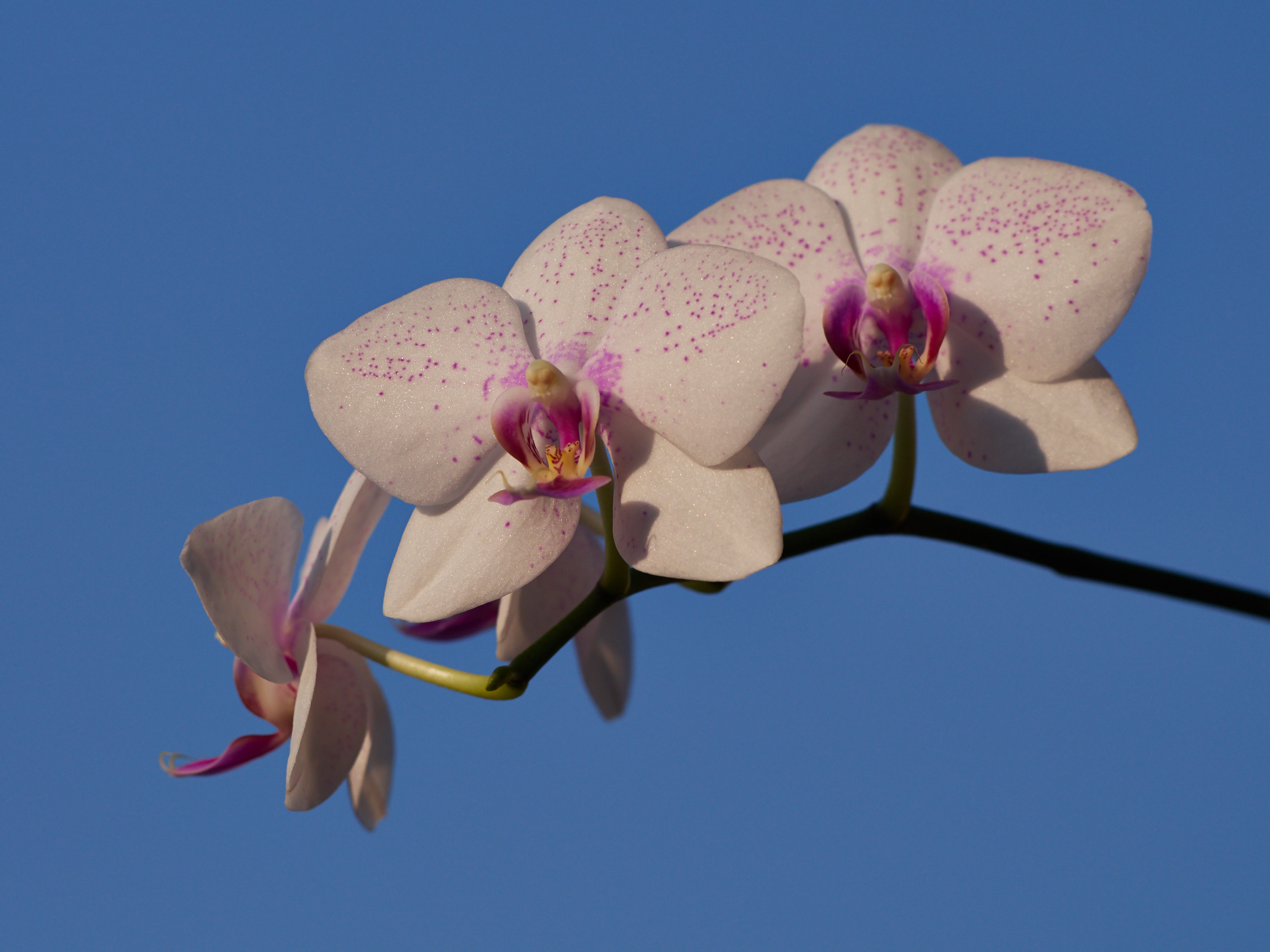 appreciating the blue sky