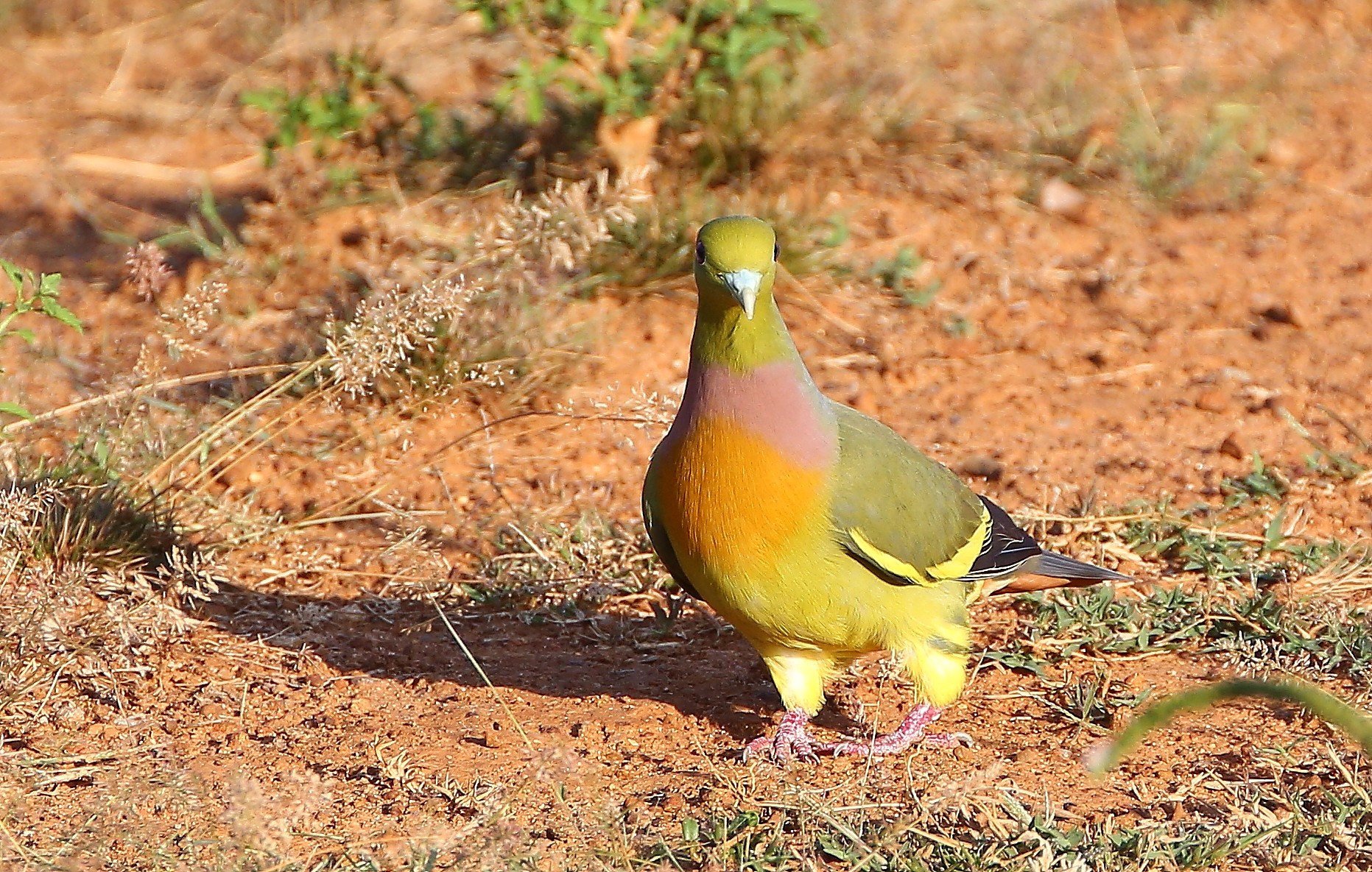 Who can help me to identify