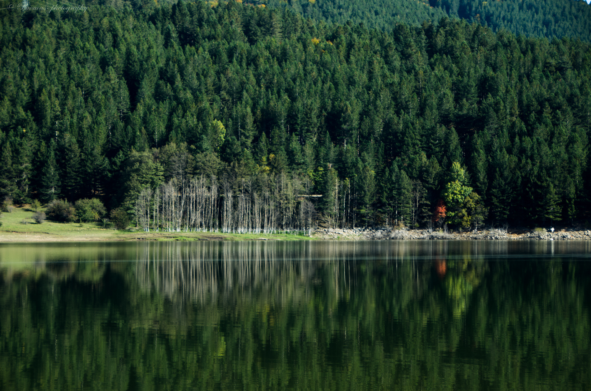 Sila - Lago Ampollino