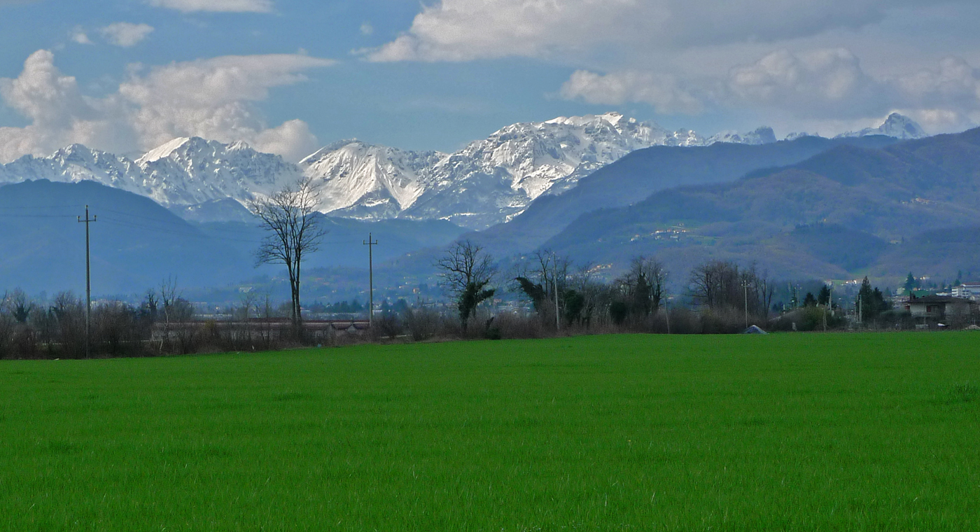 Schio, between green and white