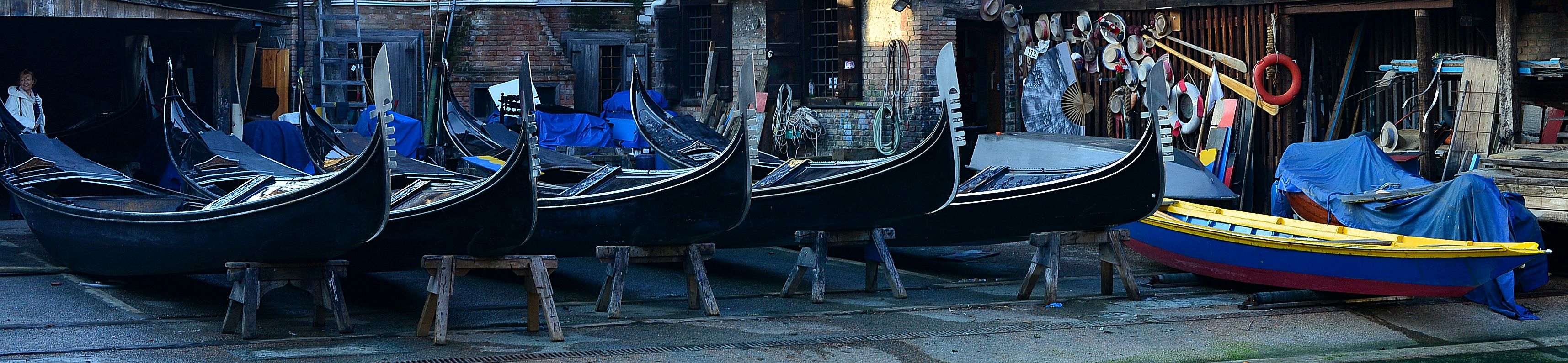 la pecora nera della famiglia.....