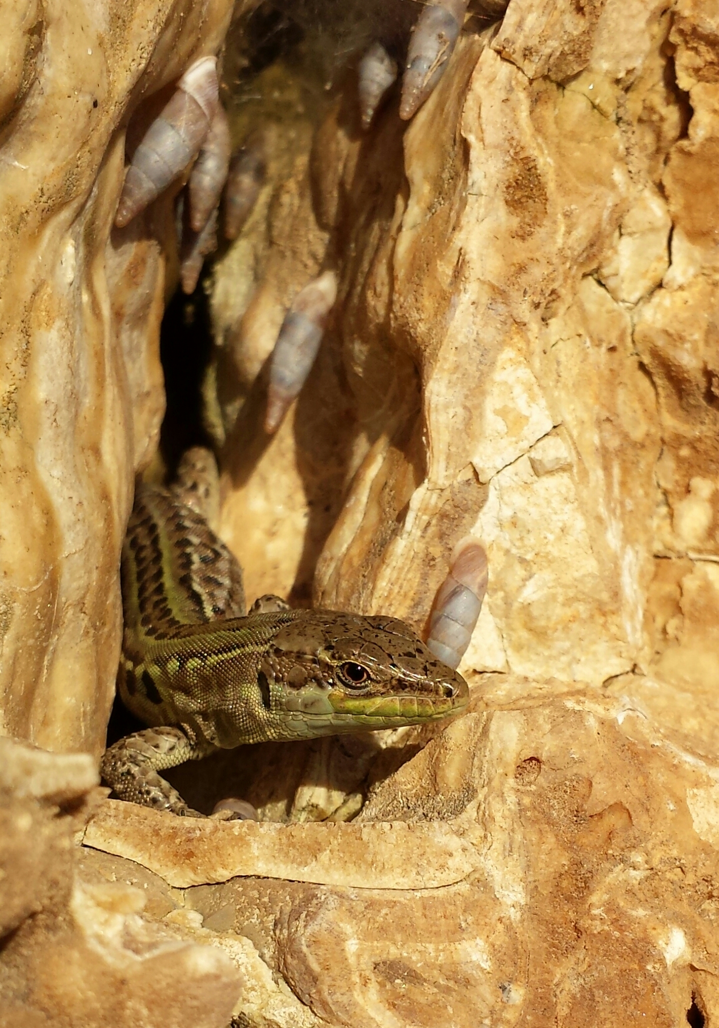 very nice morning meeting