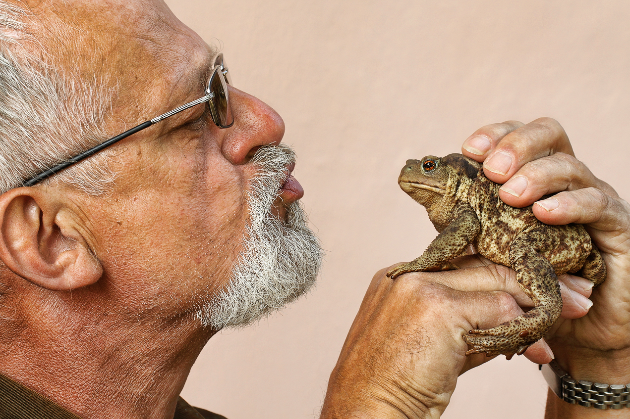 Old Man and Toad