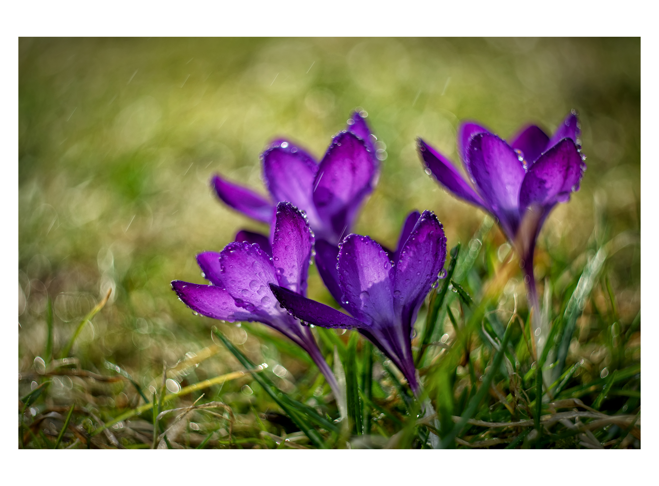 Insieme ci troviamo.