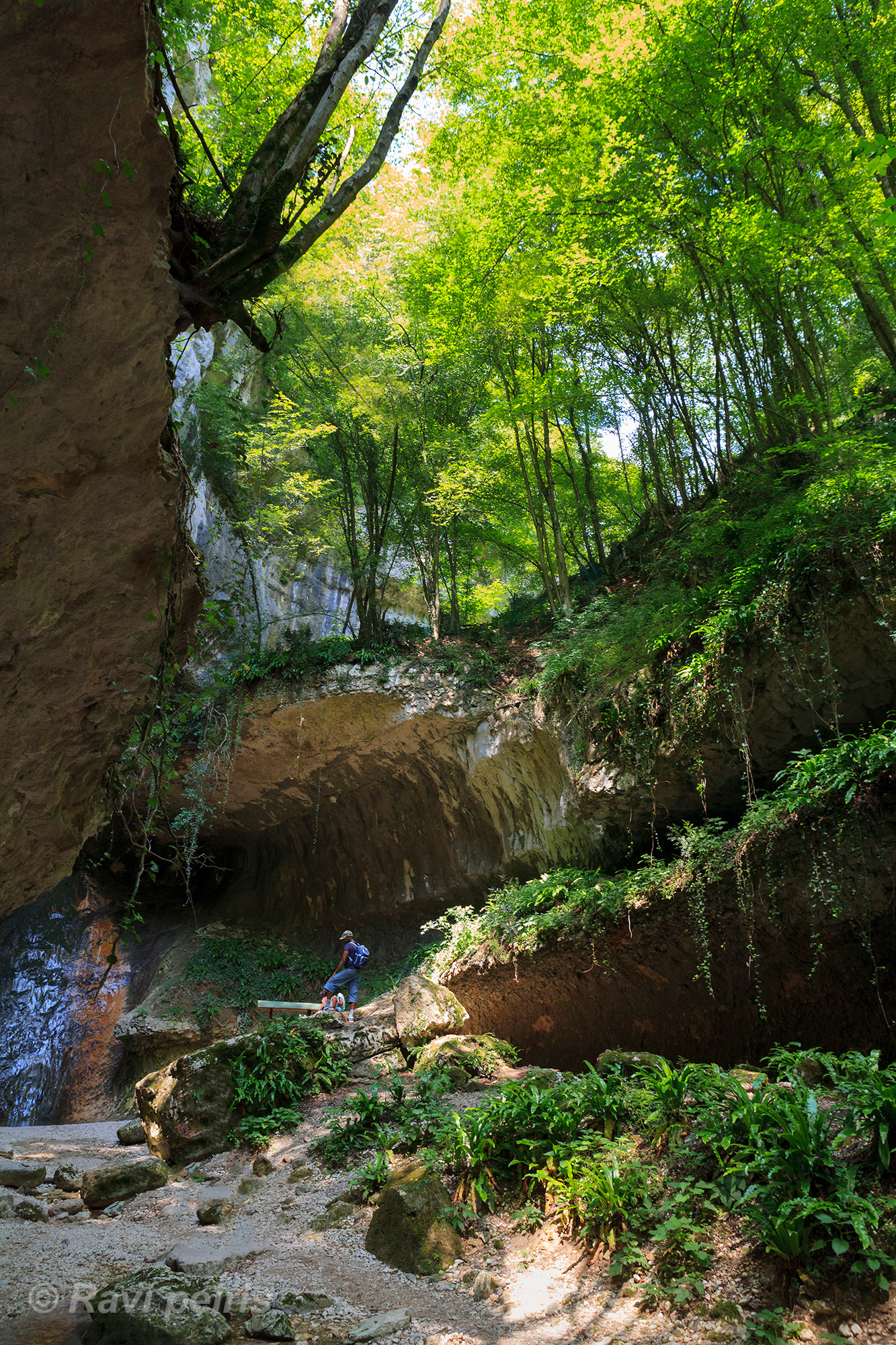immersi nel verde
