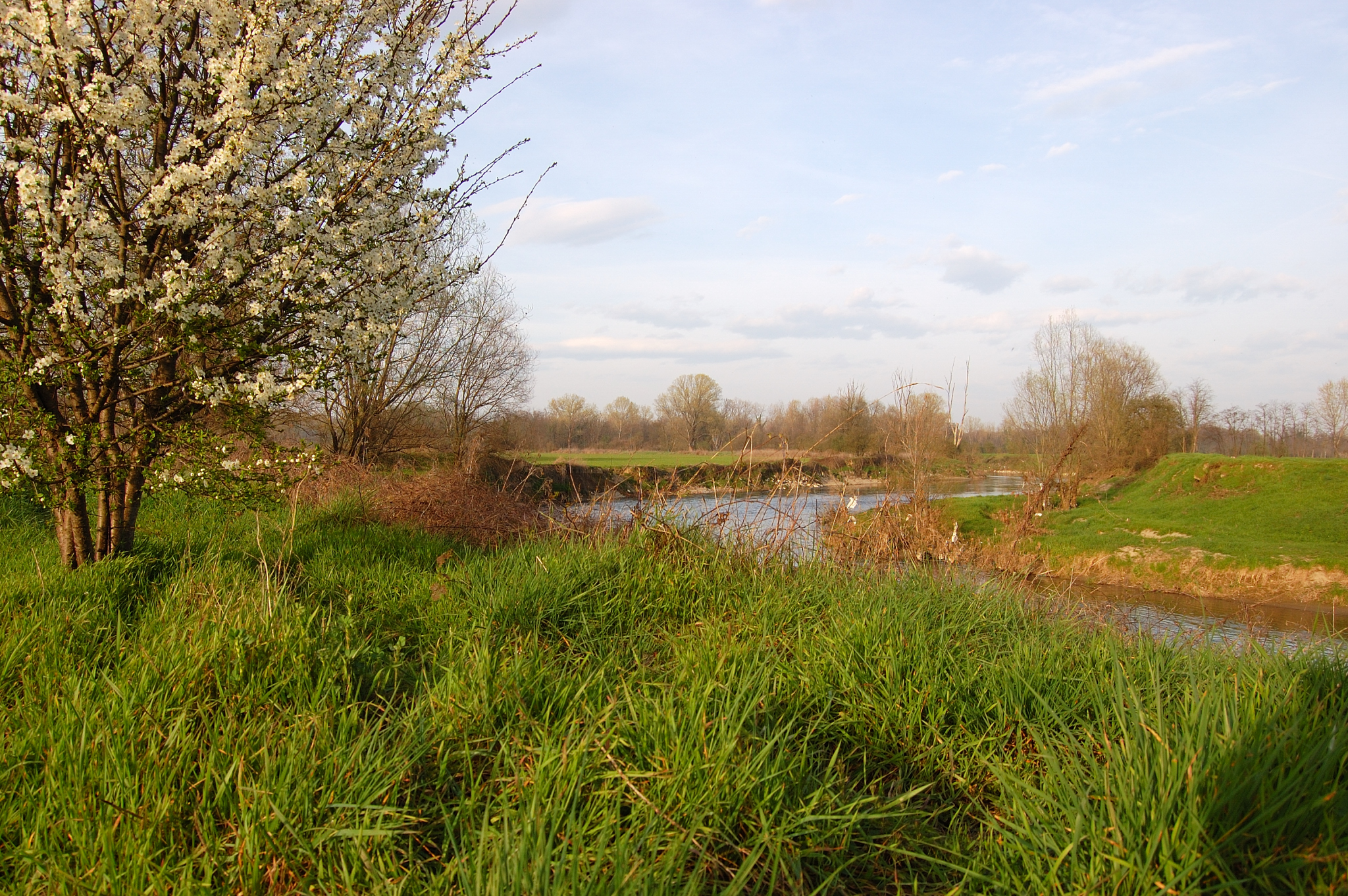 Serious river embankment