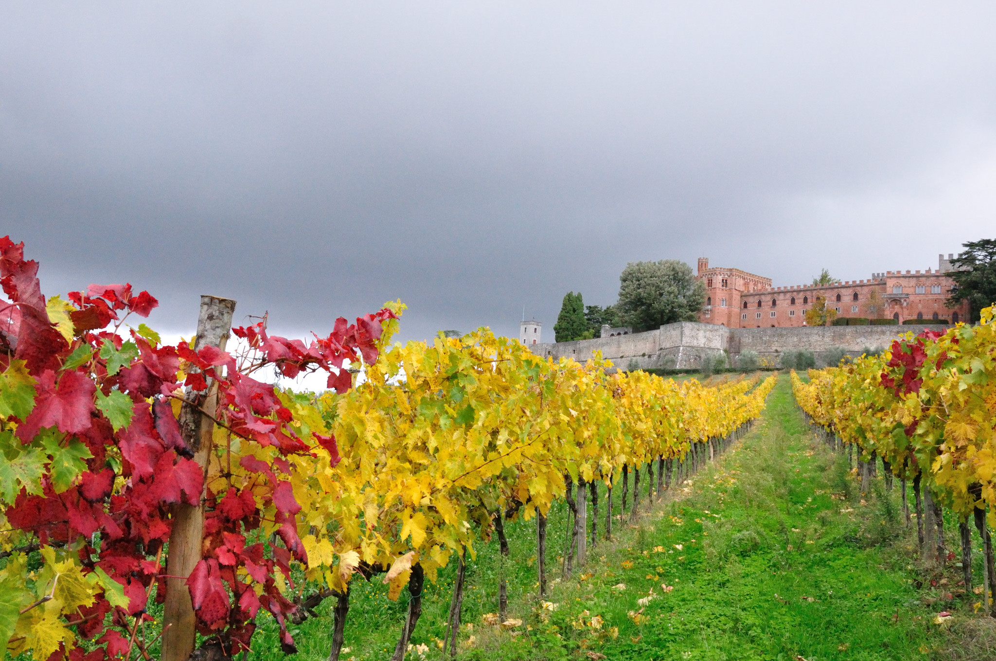 castello di Brolio (siena)