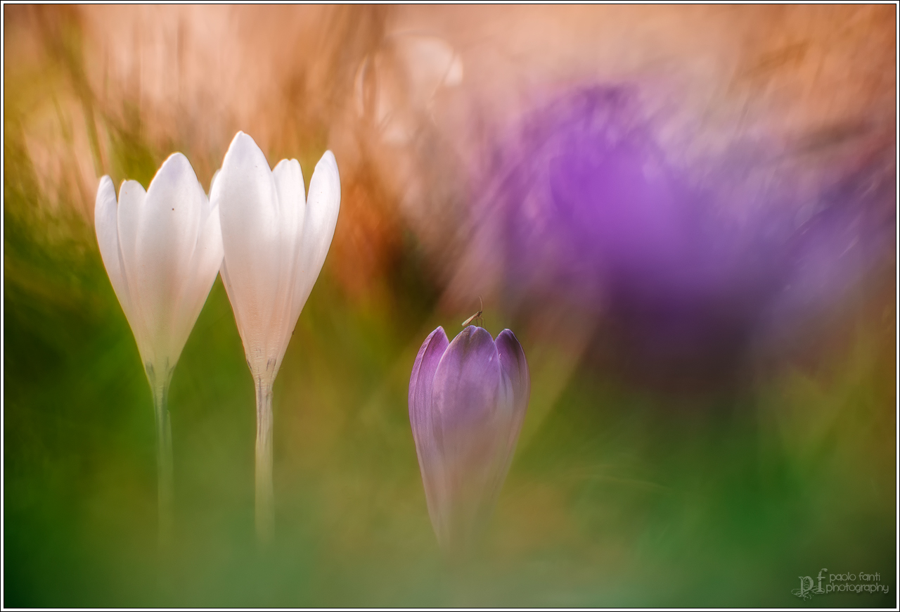 Threesome with intruder