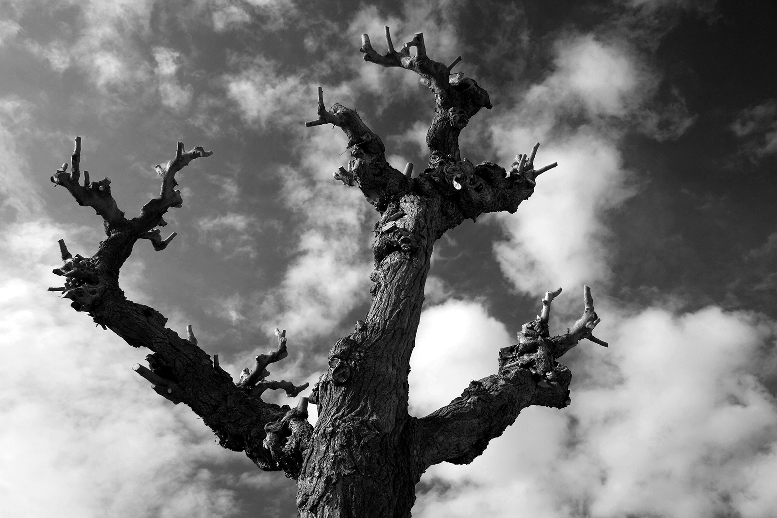 minaccia per il cielo