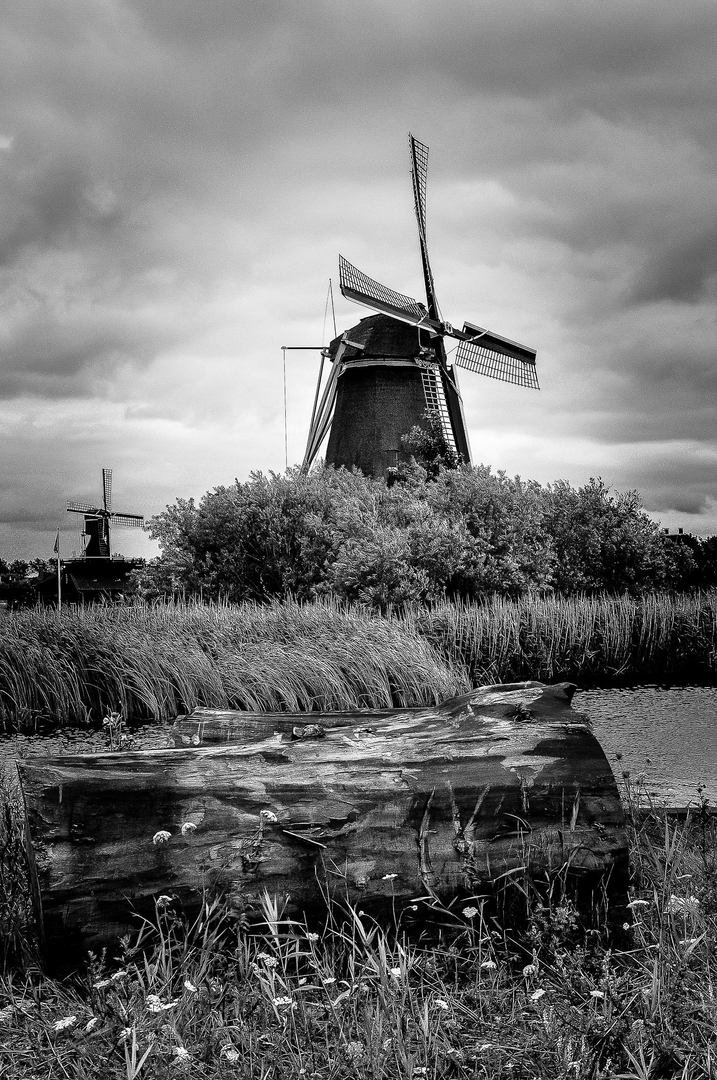 mill in B & W