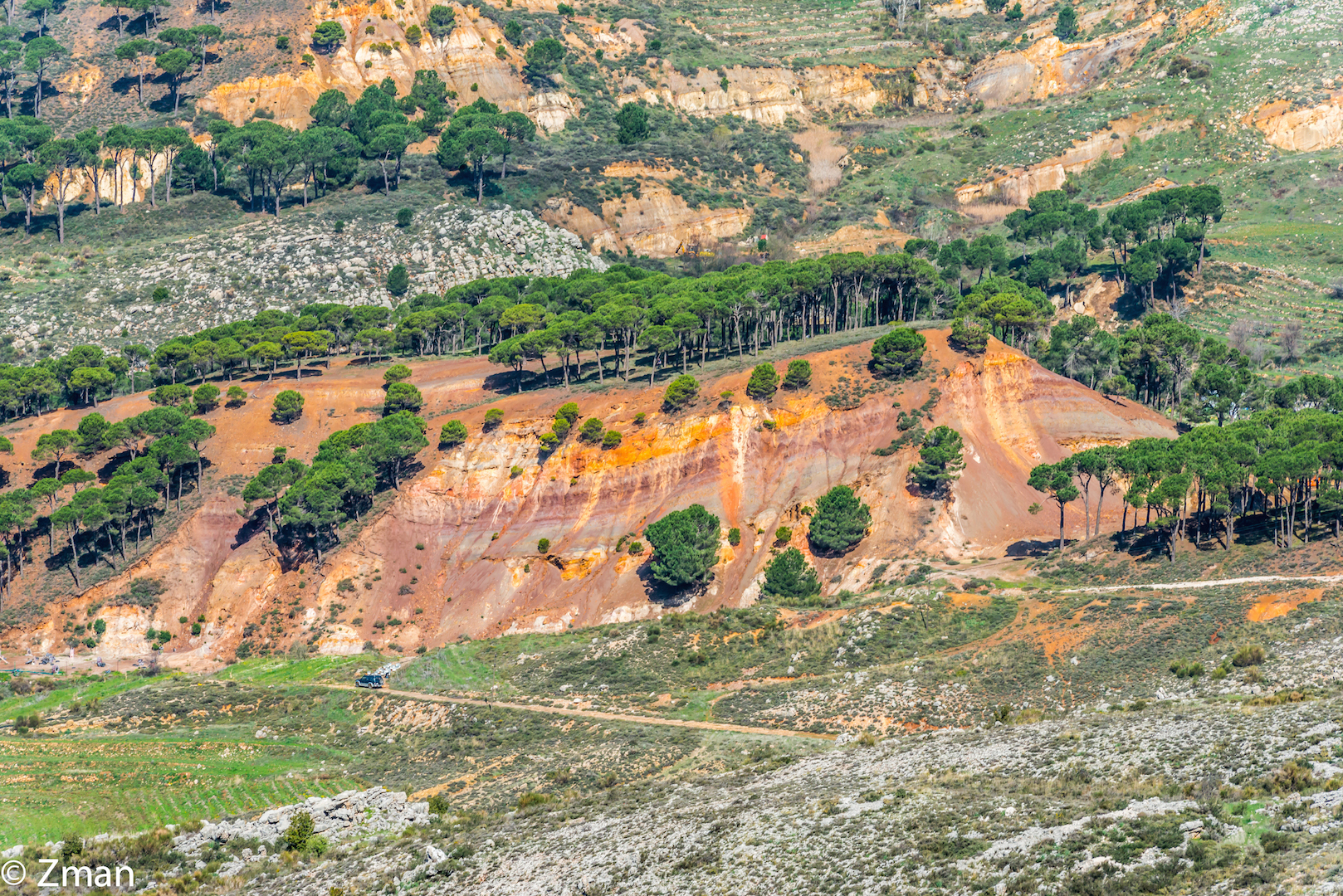 Sulla mia strada per il Cedar Reserve.