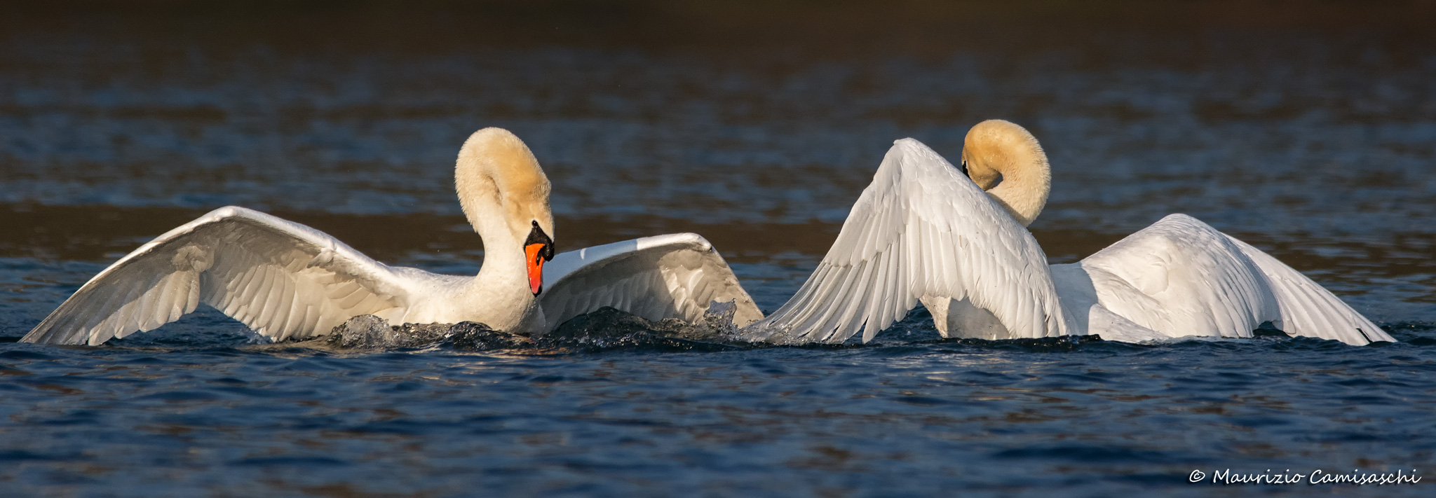 Opposite one another