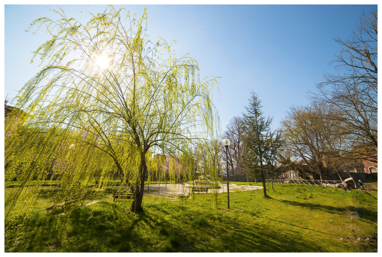 primi colori di primavera