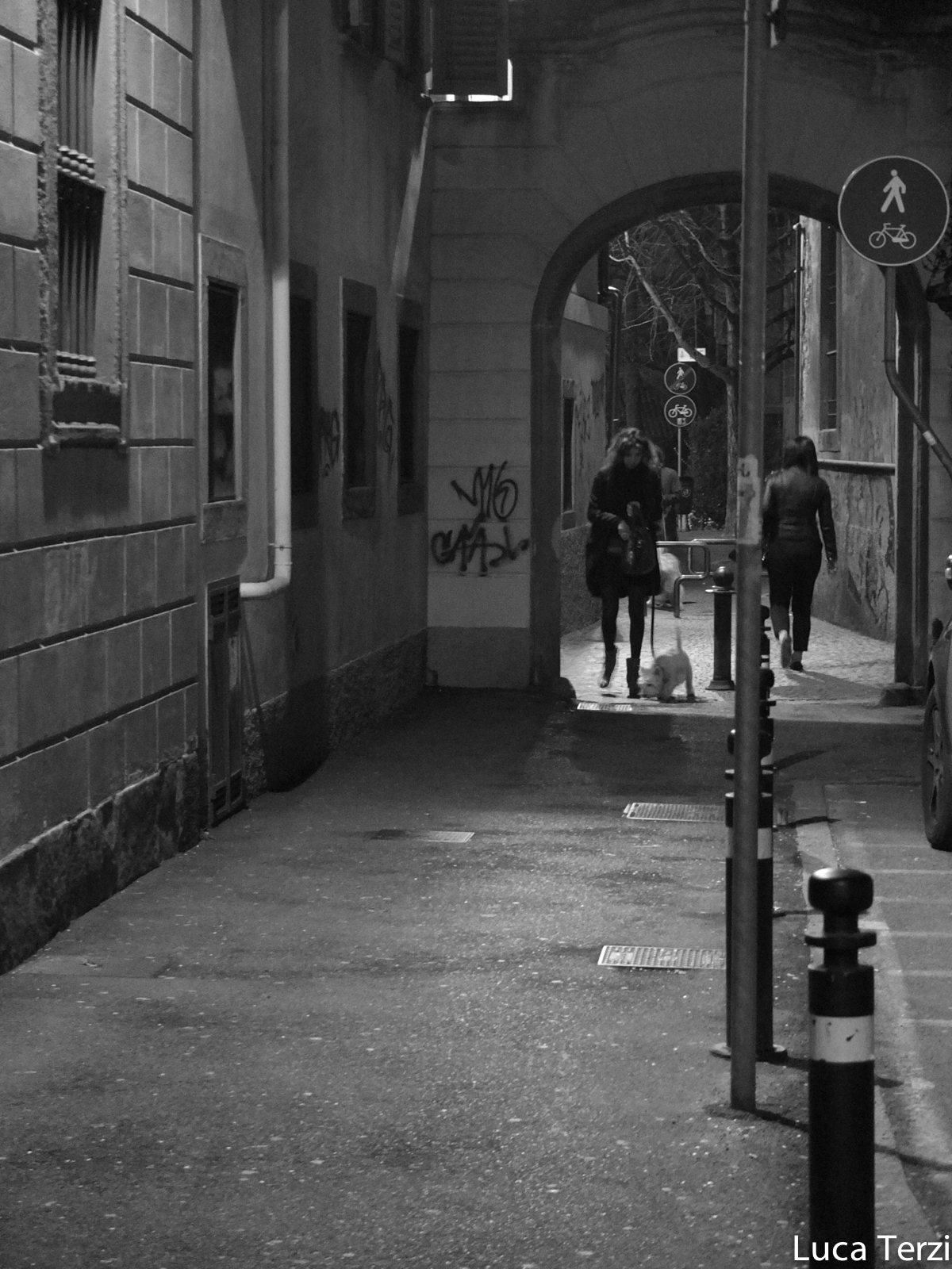 Walking with a friend