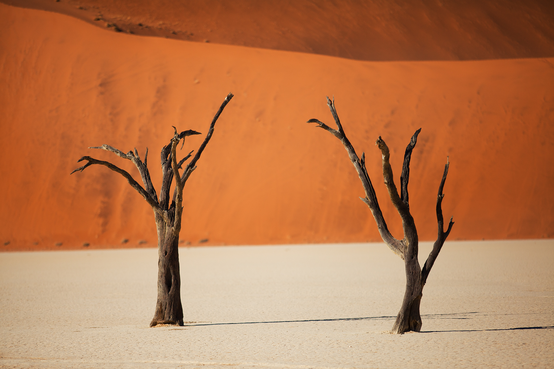 I due fratelli tristi