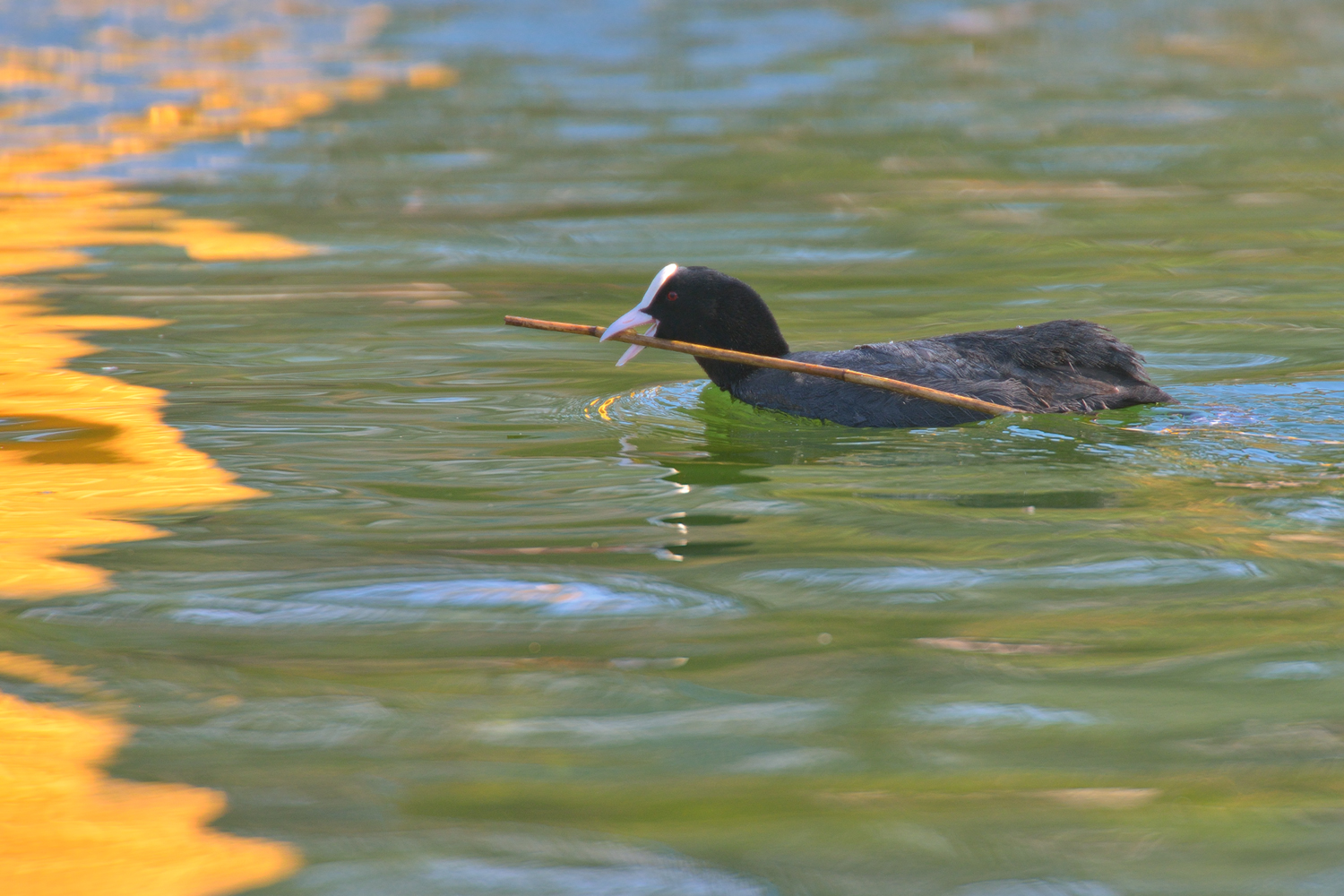 La dura vita della mamma