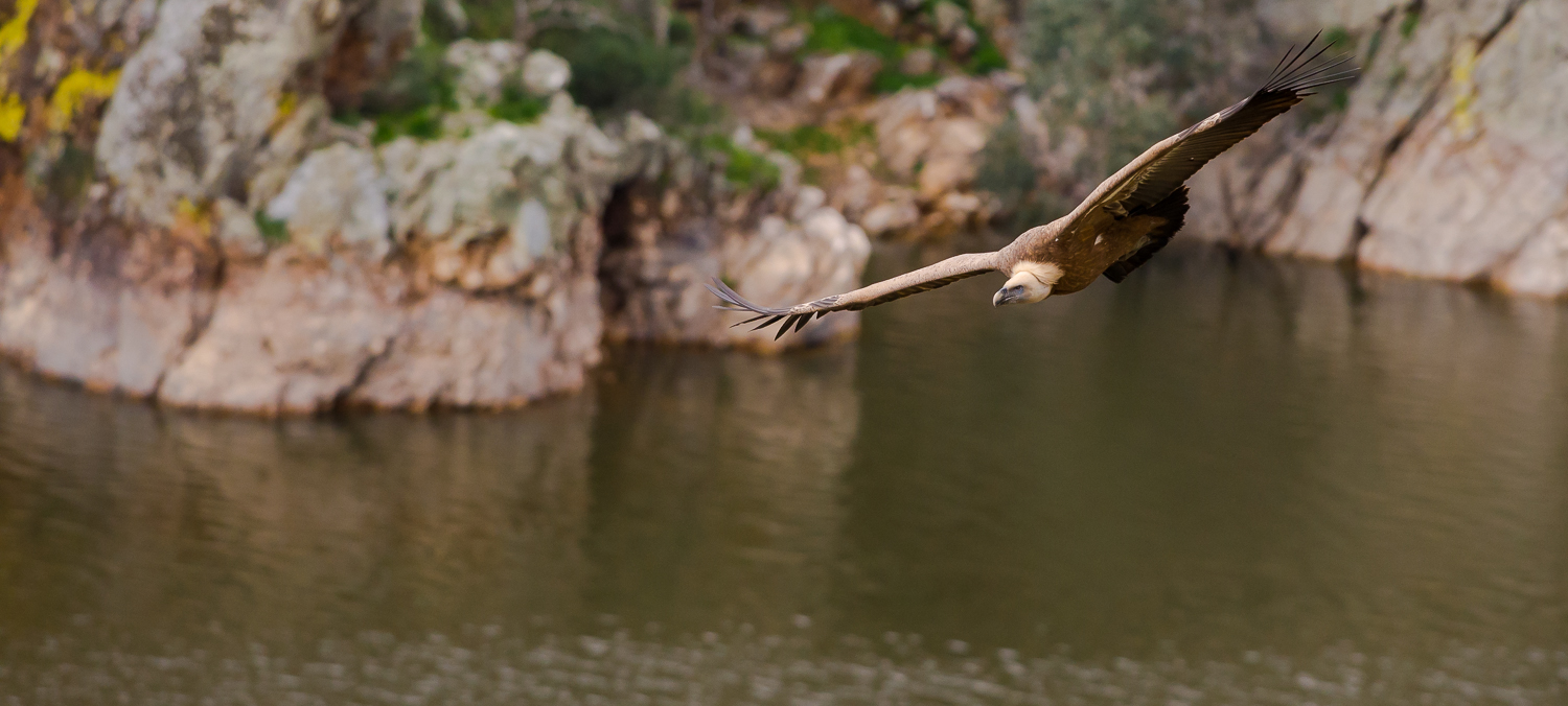 Scivolando attraverso l'aria