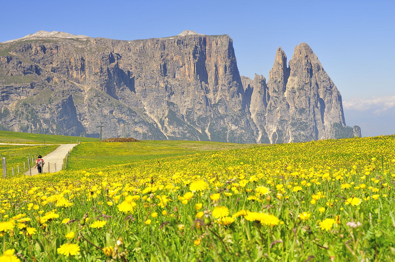 Alpe di Siusi..salendo al rifugio Bolzano