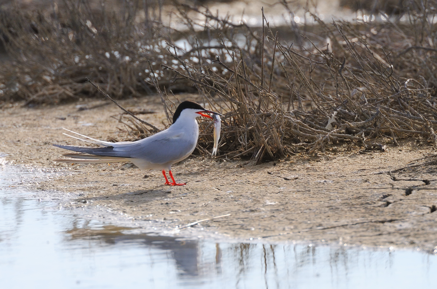 e questo a chi lo do?