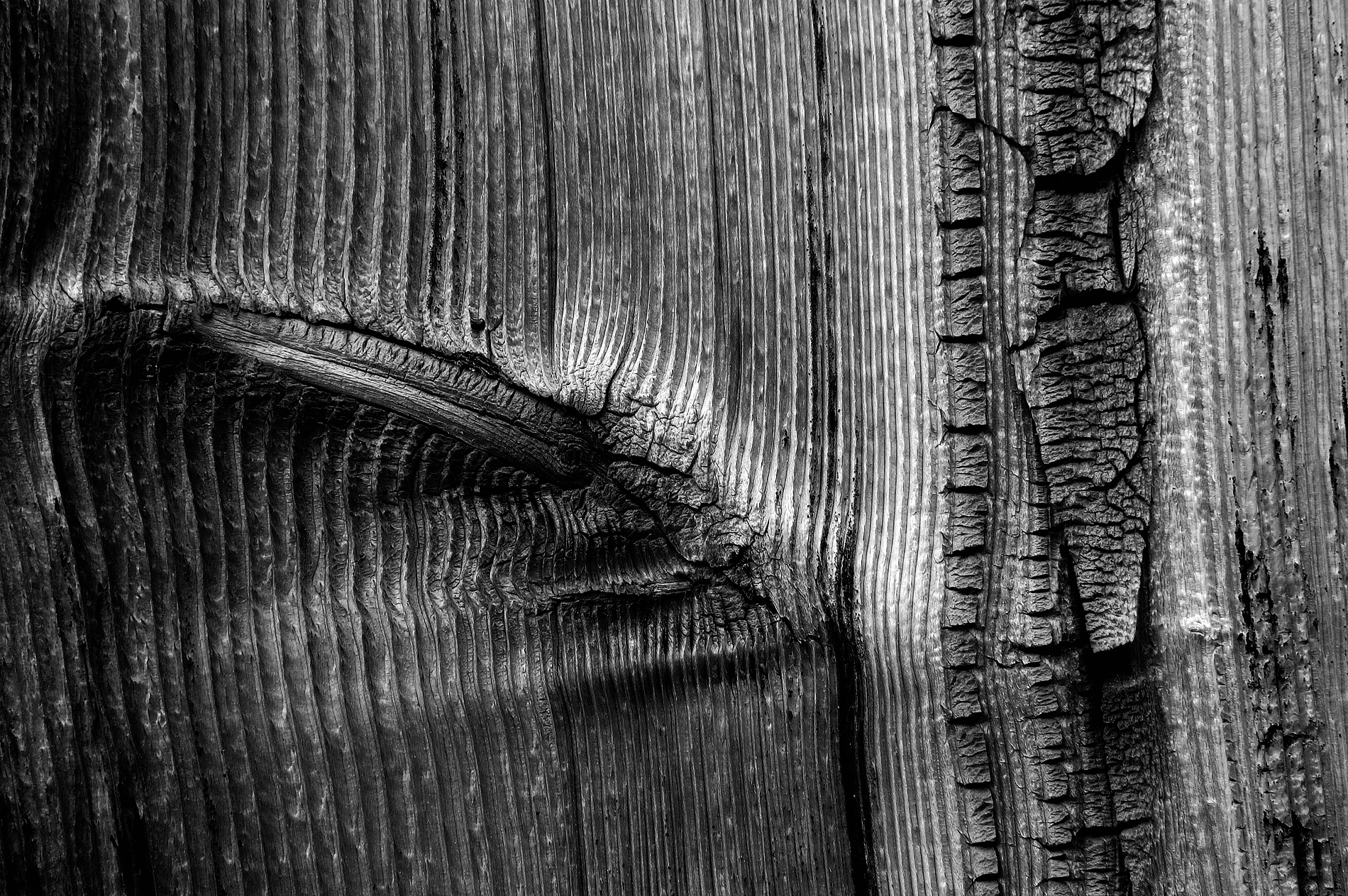 Marks and scratches.