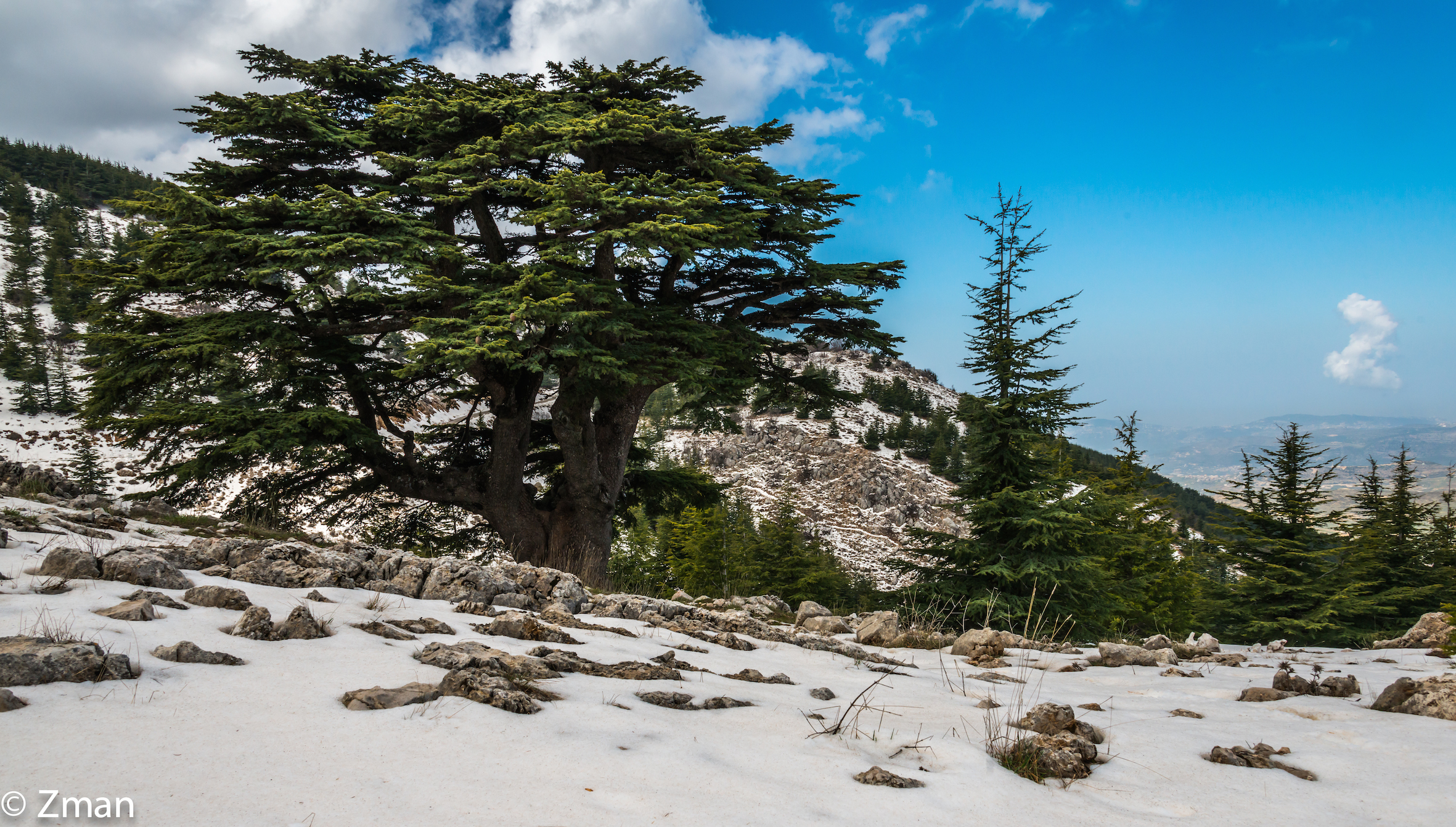 I Cedri di Al Barouk