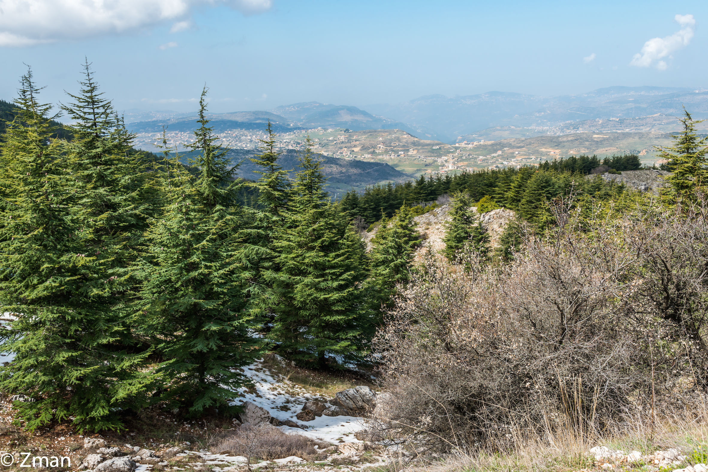 I Cedri di Al Barouk
