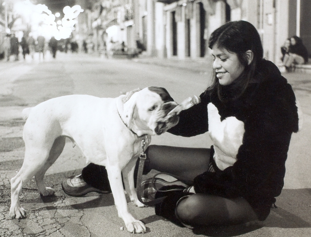 Carnevale di Viareggio