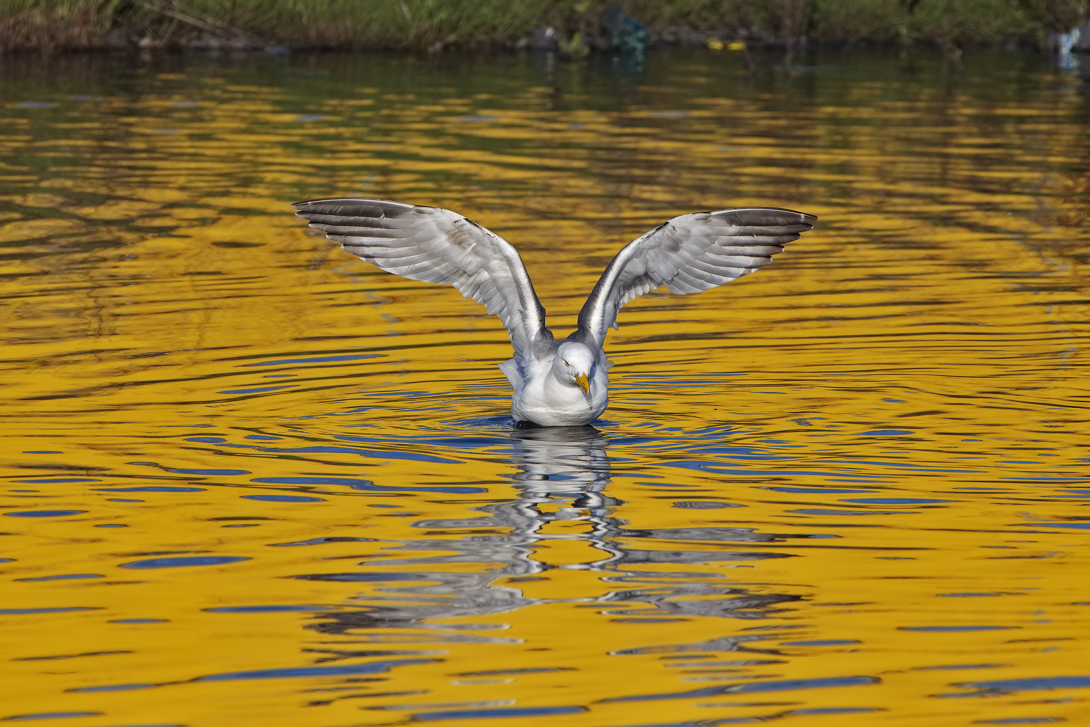 Free hand ... 20 meters