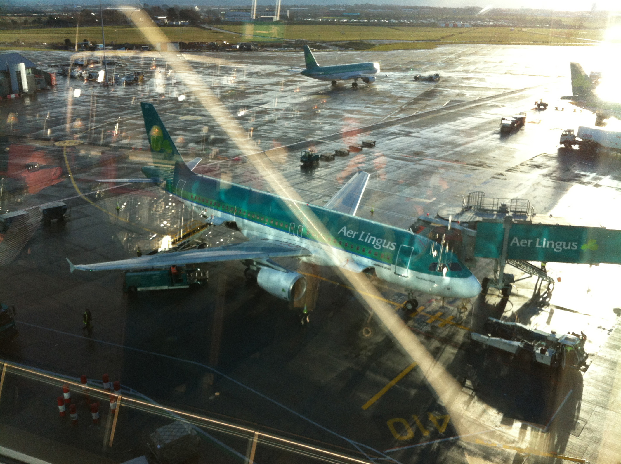 aerlingus
