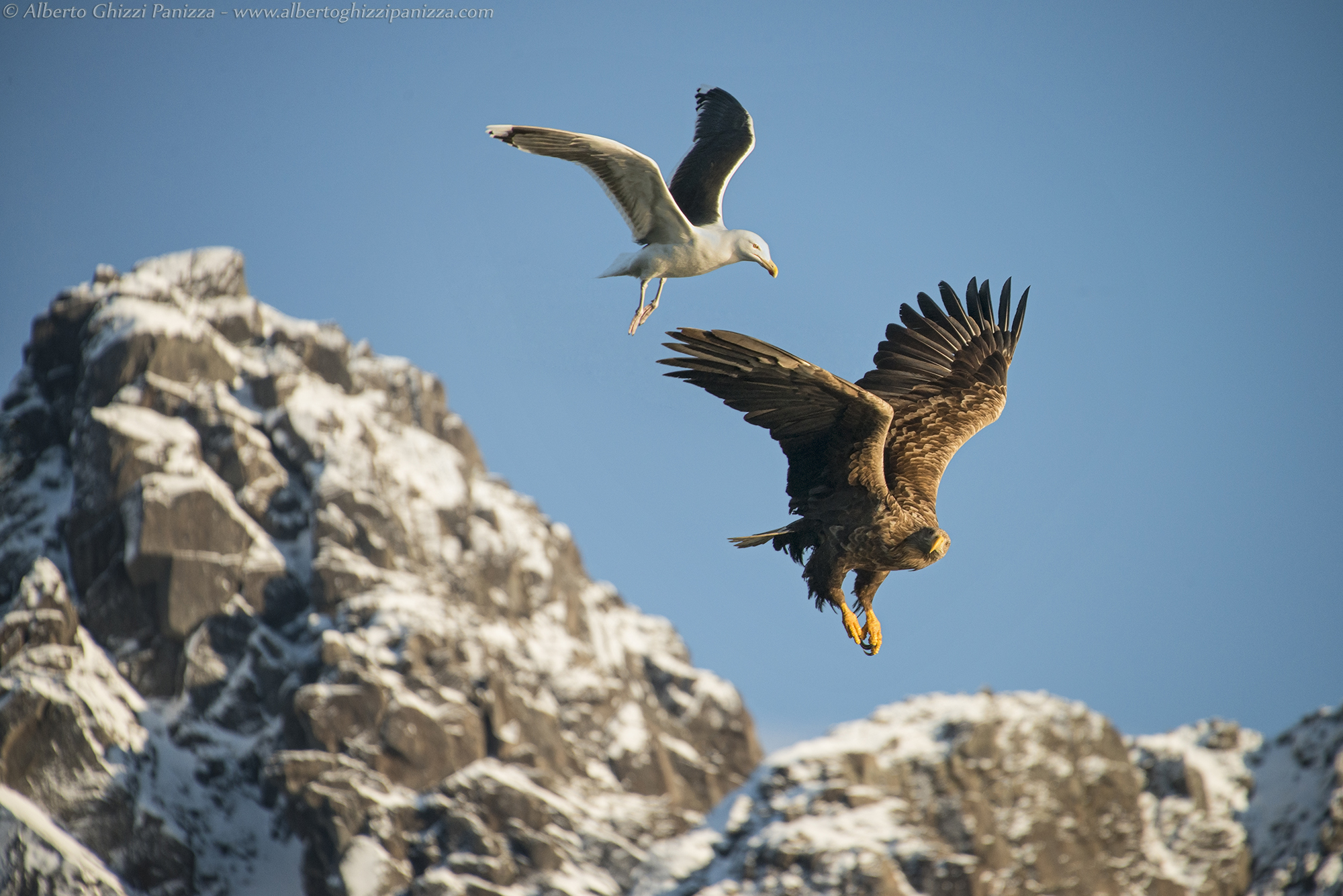 And what do you want?